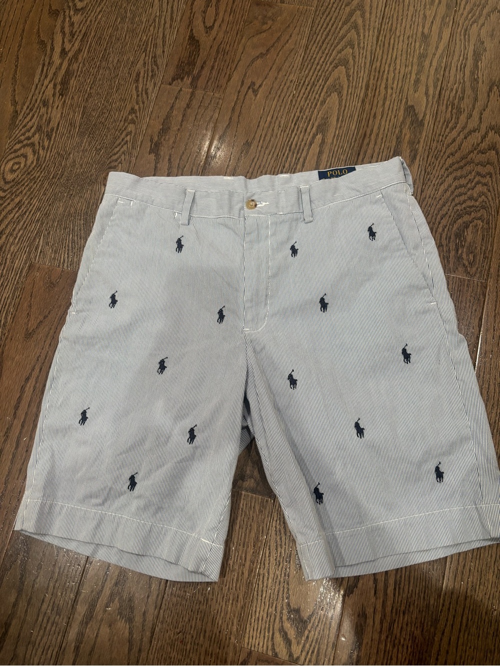 Polo by Ralph Lauren Embroidered Light Blue Men's Shorts